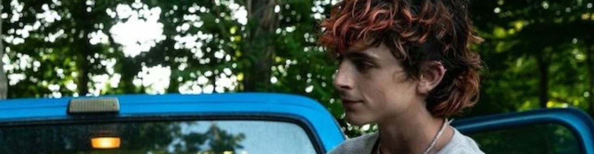 Bones And All Trailer Is Out, Starring Timothée Chalamet